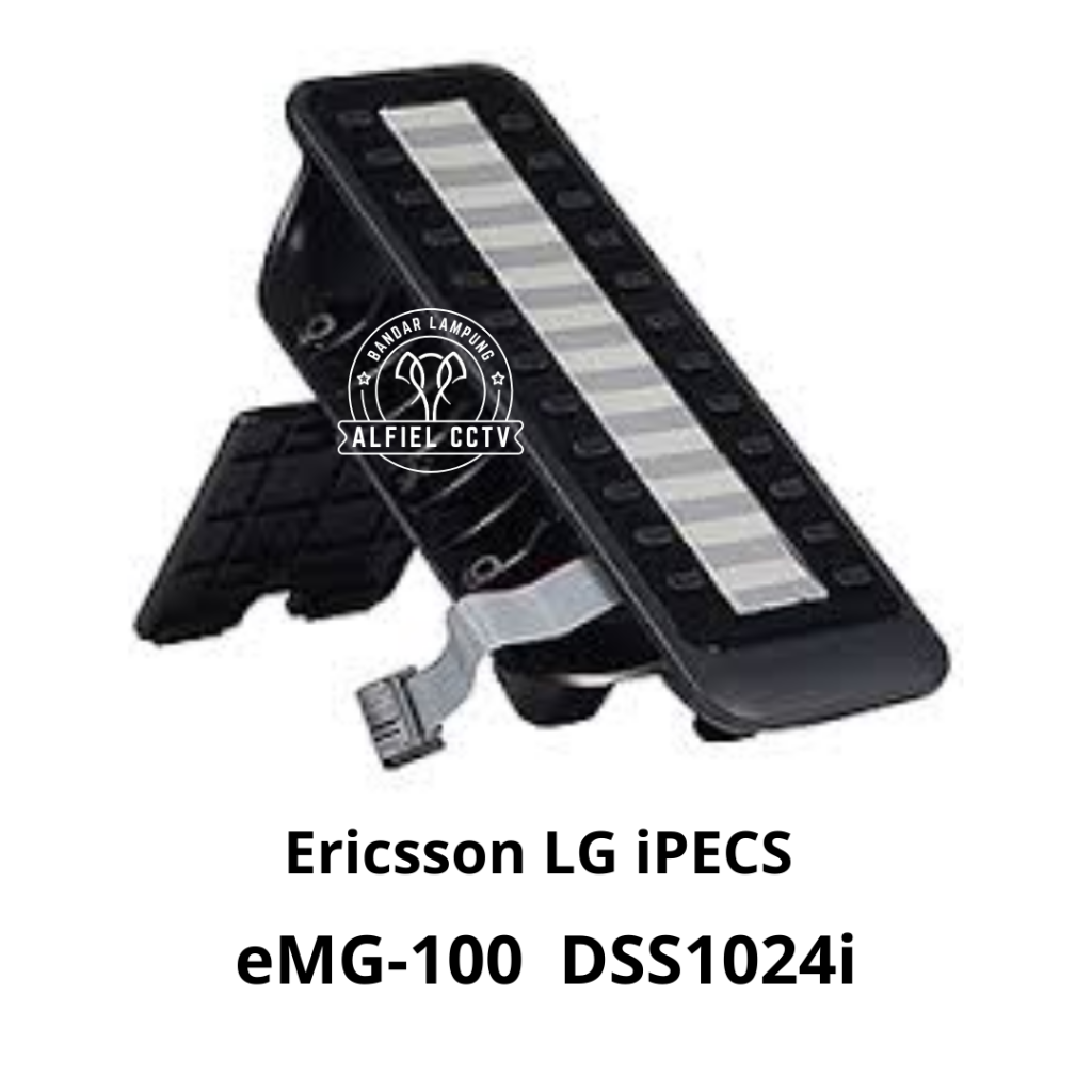 eMG100 - DSS 1024i